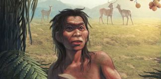 Trung Quốc giải mã trình tự gene của hài cốt 14.000 năm tuổi