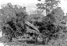 Những viên gạch đầu tiên – nền móng cho ngôi nhà chung của bản sắc văn hoá Việt Nam