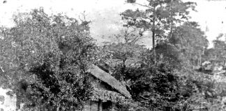 Những viên gạch đầu tiên – nền móng cho ngôi nhà chung của bản sắc văn hoá Việt Nam